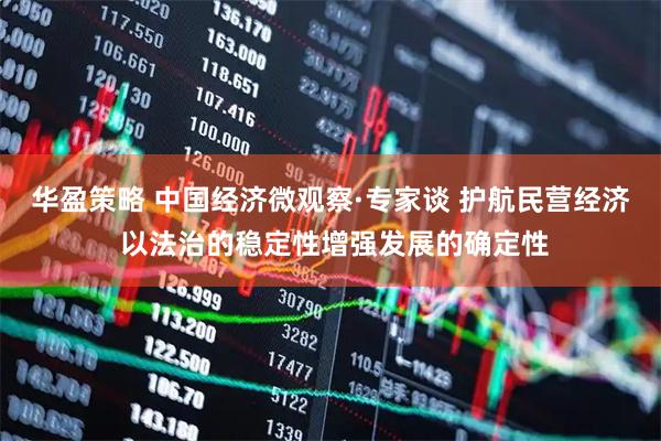 华盈策略 中国经济微观察·专家谈 护航民营经济 以法治的稳定性增强发展的确定性