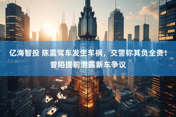 亿海智投 陈震驾车发生车祸，交警称其负全责！曾陷提前泄露新车争议