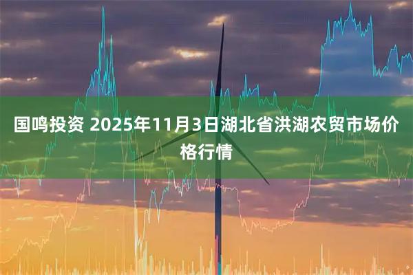 国鸣投资 2025年11月3日湖北省洪湖农贸市场价格行情