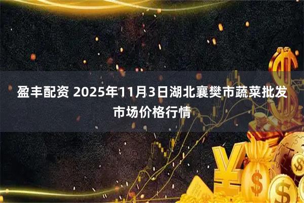 盈丰配资 2025年11月3日湖北襄樊市蔬菜批发市场价格行情