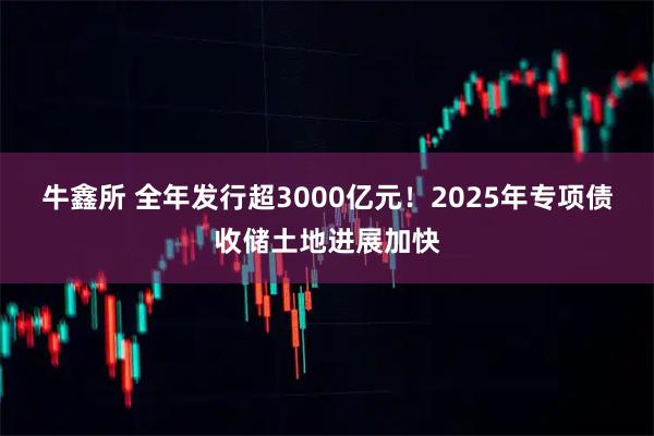 牛鑫所 全年发行超3000亿元！2025年专项债收储土地进展加快