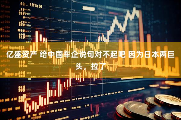 亿盛资产 给中国车企说句对不起吧 因为日本两巨头，拉了